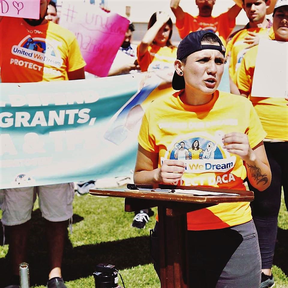 Report: Four out of every ten DREAMers not applying for renewal